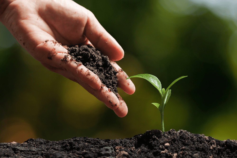 2 Und Tierra Abonada Plantas Todo Tipo Cultivos Crecimiento Abono 5kg