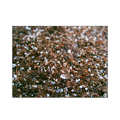 Sustrato Plantas Carnivoras Fertilizante Mata Cultivo Turba Rubia