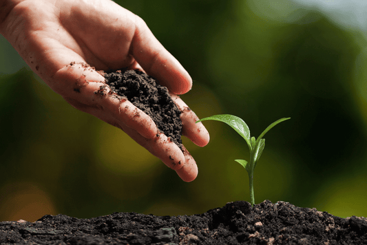 2 Und Tierra Abonada Plantas Todo Tipo Cultivos Crecimiento Abono 5kg