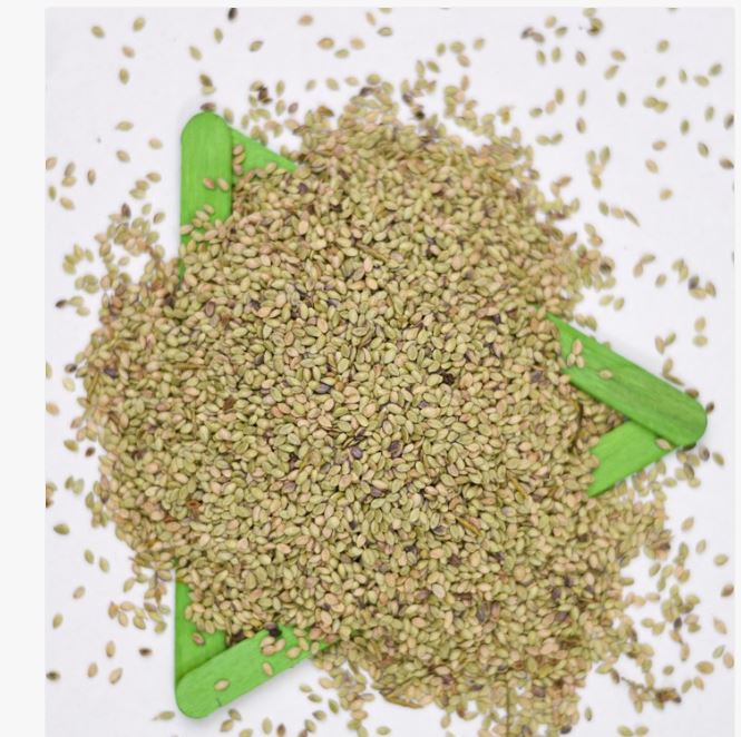 Semillas Pasto Cesped Grama Monte Jardin Cultivo Calido Bermuda Grass 1lb