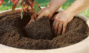Tierra Abonada Plantas Todo Tipo Cultivos Crecimiento Abono 5kg